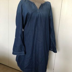 Calvin Klein Denim Dress